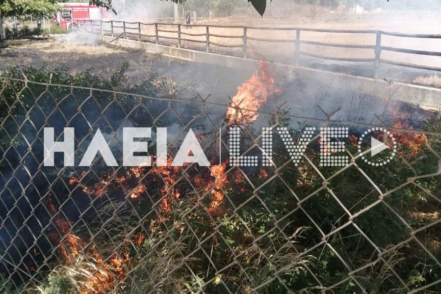 Πυρκαγιά στον περίβολο του Ιππικού Κέντρου στην Ανδραβίδα Ηλείας (Φωτό)