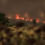 Σε εξέλιξη πυρκαγιά σε χαμηλή βλάστηση στη Λάγια Ανατολικής Μάνης
