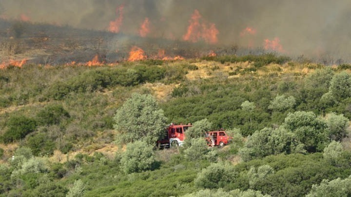 Πυρκαγιά σε χορτολιβαδική έκταση στον Άγιο Ιωάννη στη Φθιώτιδα