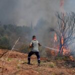Συναγερμός στην Πυροσβεστική: Πυρκαγιά σε χαμηλή βλάστηση στον Άγιος Νικόλαος Βοιωτίας