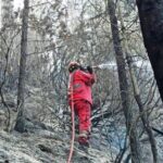 Θάσος: Συνελήφθη ο 65χρονος ύποπτος για εμπρησμό