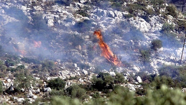 Πυρκαγιά σε αγροτική έκταση στην Καλλονή Τροιζηνίας