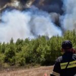 Πυρκαγιά σε δασική έκταση στην περιοχή Λευκα Κόνιτσας στα Ιωάννινα