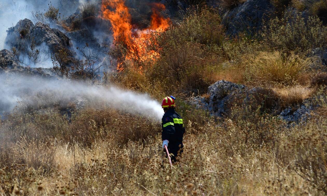Πυρκαγιά σε ξερά χόρτα στο Ν. Ρύσιο στην Θεσσαλονίκη