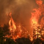 Πυρκαγιά σε δασική έκταση στην περιοχή Συκά Υπάτης Φιθώτιδας