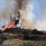 Πυρκαγιά σε χορτολιβαδική έκταση στον Πλατανίτη Ναυπακτίας