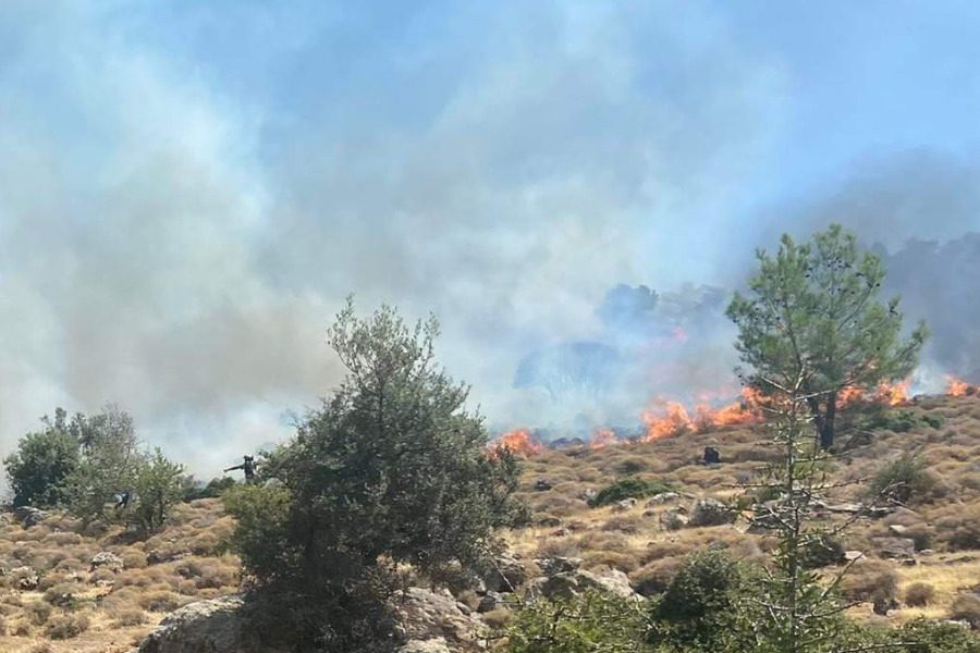 Πυρκαγιά σε χαμηλή βλάστηση στον Πετσοφά Λέσβου (Φωτό)