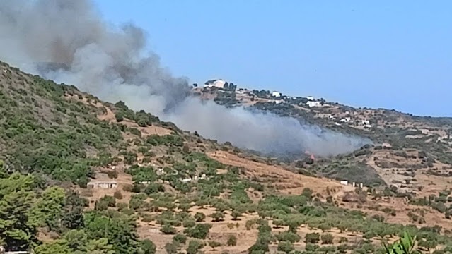 Μεγάλη πυρκαγιά σε δασική έκταση στην Αγία Πελαγία στα Κύθηρα (Φωτό)