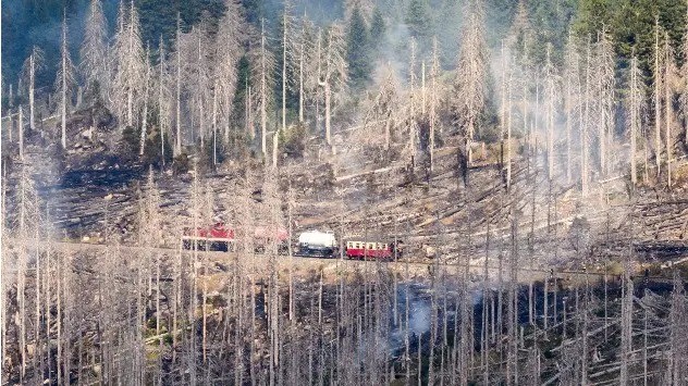 Καταστροφική δασική πυρκαγιά στην περιφέρεια Harz της Γερμανίας