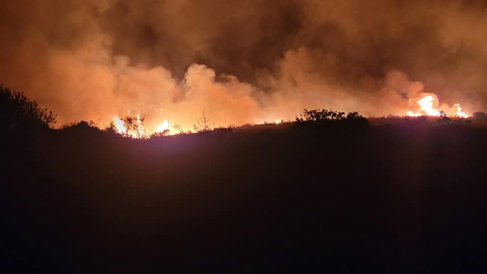 Πυρκαγιά σε δασική έκταση στην θέση Λιβάδι στην Κεφαλονιά (Φωτό)