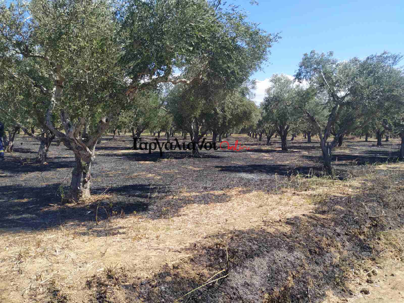 Πυρκαγιά σε αγροτική έκταση στο Πετροχώρι Μεσσηνίας