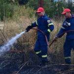 Πυρκαγιά σε καλαμιές στην περιοχή του Νέου Ηραίου στην Αργολίδα
