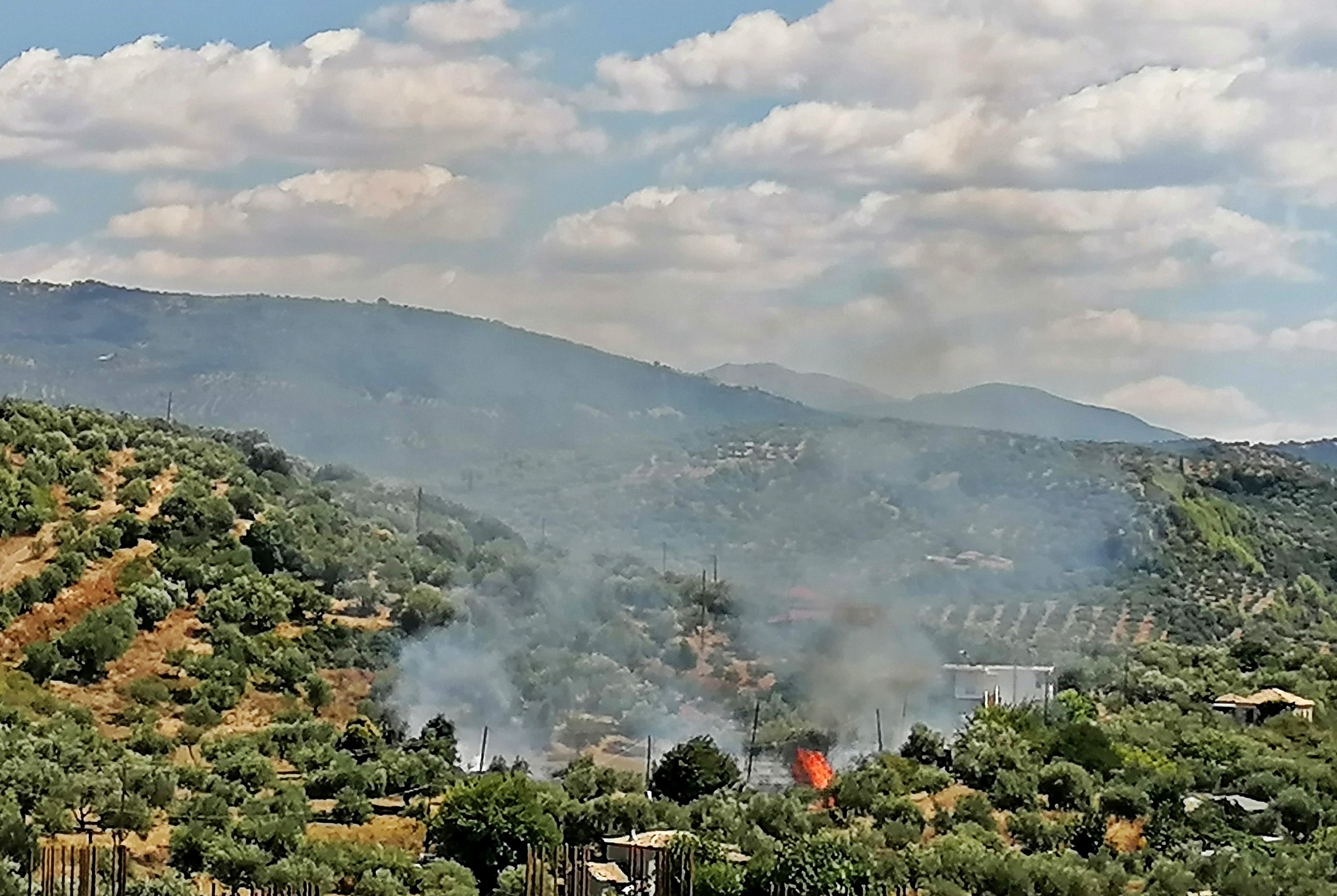 Λέπρεο Ηλείας: Πυρκαγιά σε αγροτική έκταση τέθηκε γρήγορα υπό έλεγχο (Βίντεο)