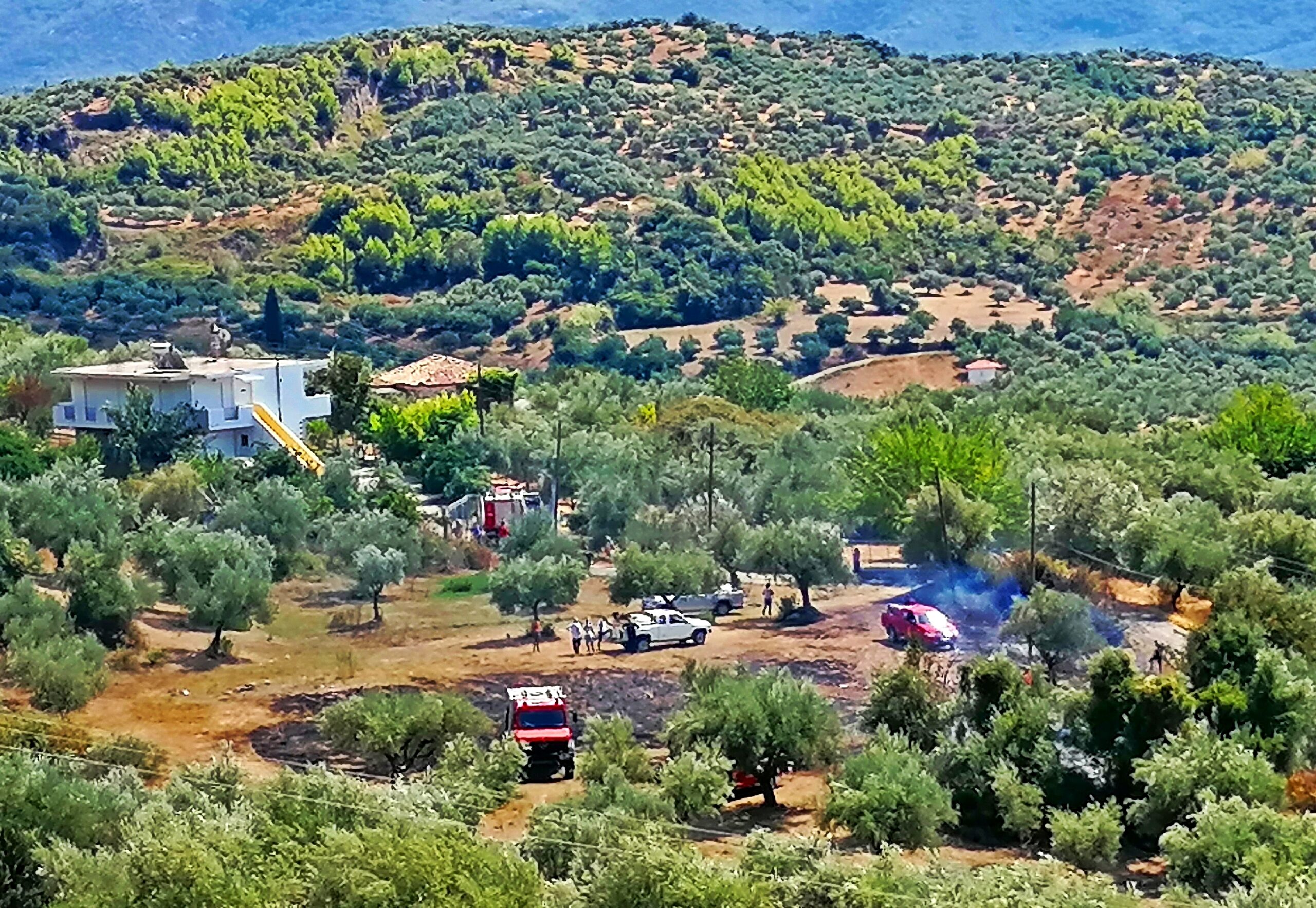 Λέπρεο Ηλείας: Πυρκαγιά σε αγροτική έκταση τέθηκε γρήγορα υπό έλεγχο (Βίντεο)