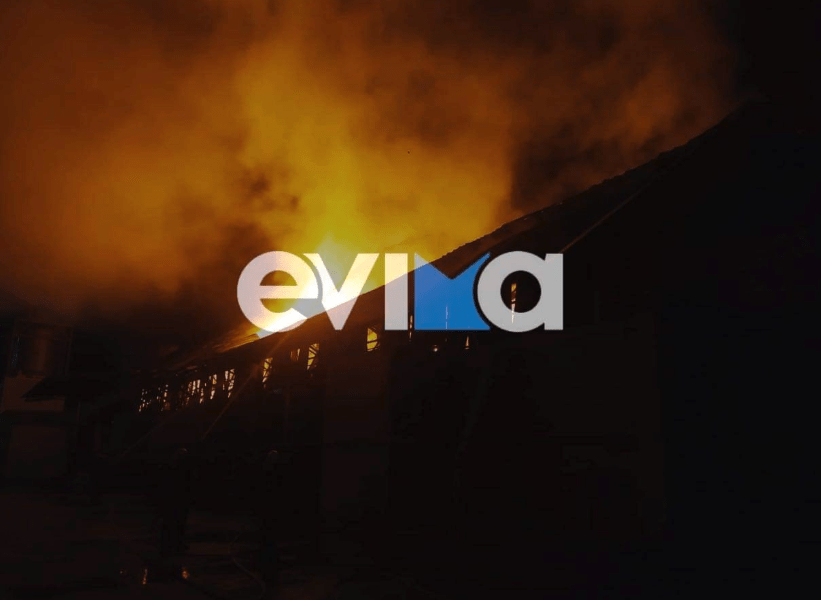 Πυρκαγιά σε αποθήκη εργοστασίου στην περιοχή Καστέλλα Ψαχνών Ευβοίας