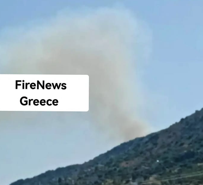 Πυρκαγιά σε χαμηλή βλάστηση στην περιοχή Κοκκάλα Ανατολικής Μάνης (Φωτό)