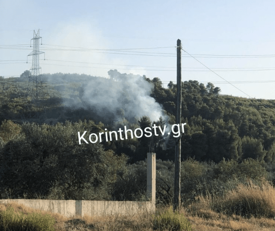 Πυρκαγιά σε δασική έκταση στην περιοχή Αθίκια Κορινθίας - Άμεσα οριοθετήθηκε