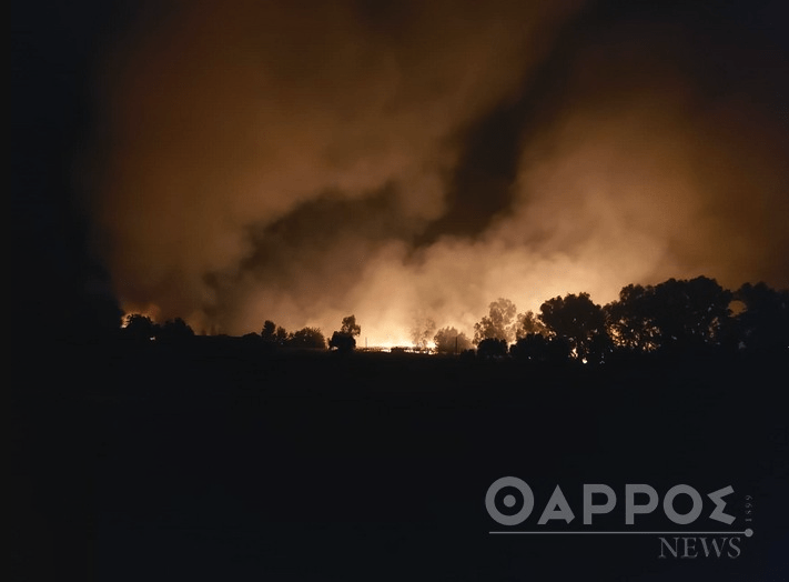Πυρκαγιά σε χορτολιβαδική έκταση κοντά στον Ιππικό Όμιλο Καλαμάτας