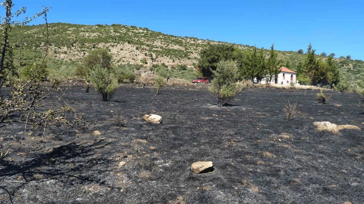 Υπό μερικό έλεγχο η πυρκαγιά στην περιοχή Τουλούπα Χάνι Μεσσηνίας