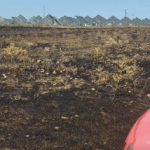 Πυρκαγιά σε ξηρά χόρτα στο Φυτόκο Μαγνησίας
