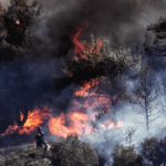Πυρκαγιά σε δασική έκταση στην Άνω Δροσίνη Ροδόπης