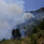 Πυρκαγιά σε δασική έκταση στην περιοχή Βρανάς Μαραθώνα