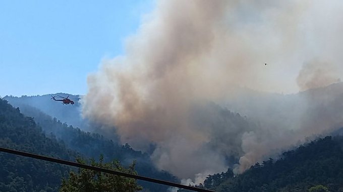 Πυροσβεστική: 37 δασικές πυρκαγιές εκδηλώθηκαν το τελευταίο 24ωρο (13/09/2022)