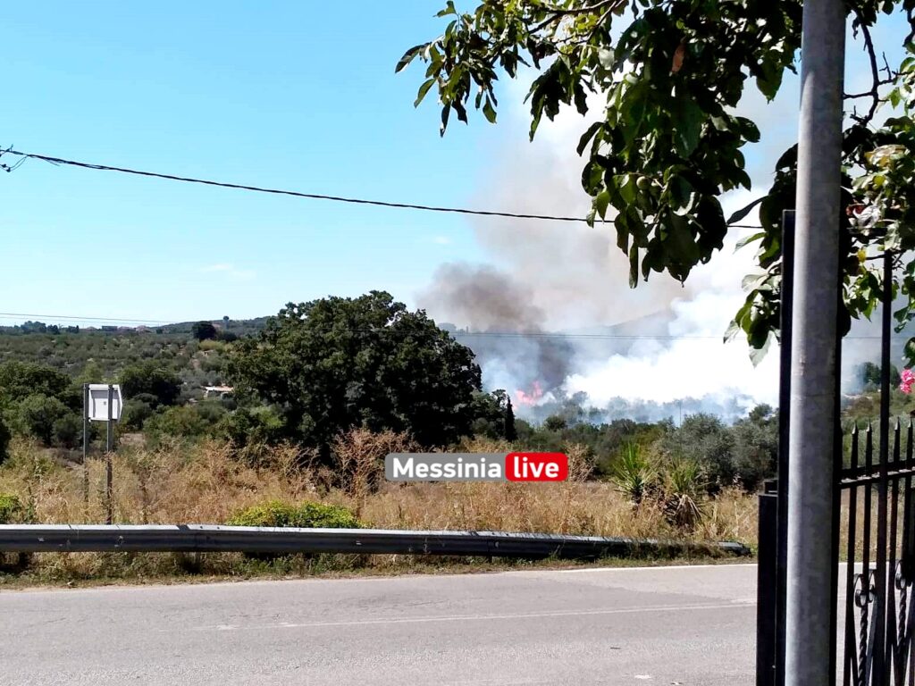 Πυρκαγιά σε αγροτοδασική έκταση στην περιοχή Τουλούπα Χάνι Μεσσηνίας