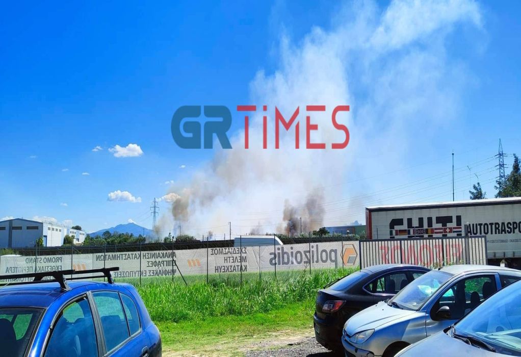Πυρκαγιά σε χαμηλή βλάστηση στη Σίνδο Θεσσαλονίκης