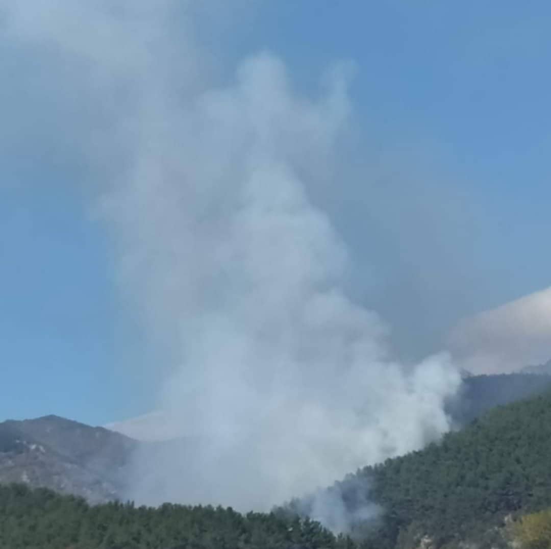 Πυρκαγιά σε δασική έκταση στην περιοχή Μίσχος Ροδόπης (Φωτό)