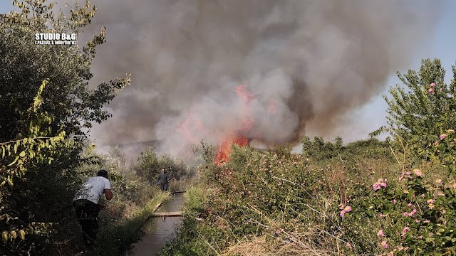 Πυρκαγιά σε ελαιώνα στο Δρέπανο Αργολίδας (Φωτό)