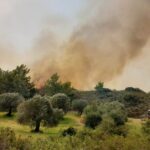 Πυρκαγιά σε δασική έκταση στην Ιαλυσό Ρόδος