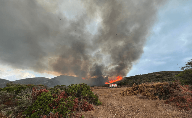 Πυρκαγιά σε δασική έκταση στην περιοχή Καίσαρι στην Κορινθία
