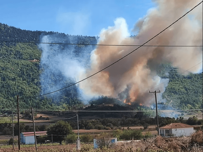 Πυρκαγιά σε δασική έκταση στην περιοχή Καίσαρι στην Κορινθία