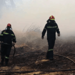 Διοικητικά πρόστιμα για πυρκαγιά που εκδηλώθηκε σε υπολείμματα καλλιεργειών στη Χαλκιδική