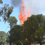 Πυρκαγιά σε αγροτοδασική έκταση στα Σβορωνάτα Κεφαλονιάς
