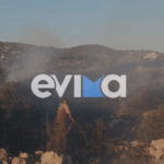 Πυρκαγιά σε χαμηλή βλάστηση στο Δήλησο Ευβοίας