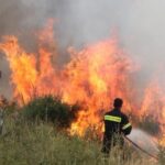 Πυρκαγιά σε δασική έκταση στην περιοχή Κούτσι Νεμέας