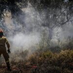 Πυροσβεστική: 20 αγροτοδασικές πυρκαγιές εκδηλώθηκαν το τελευταίο 24ωρο (27/11/2022)