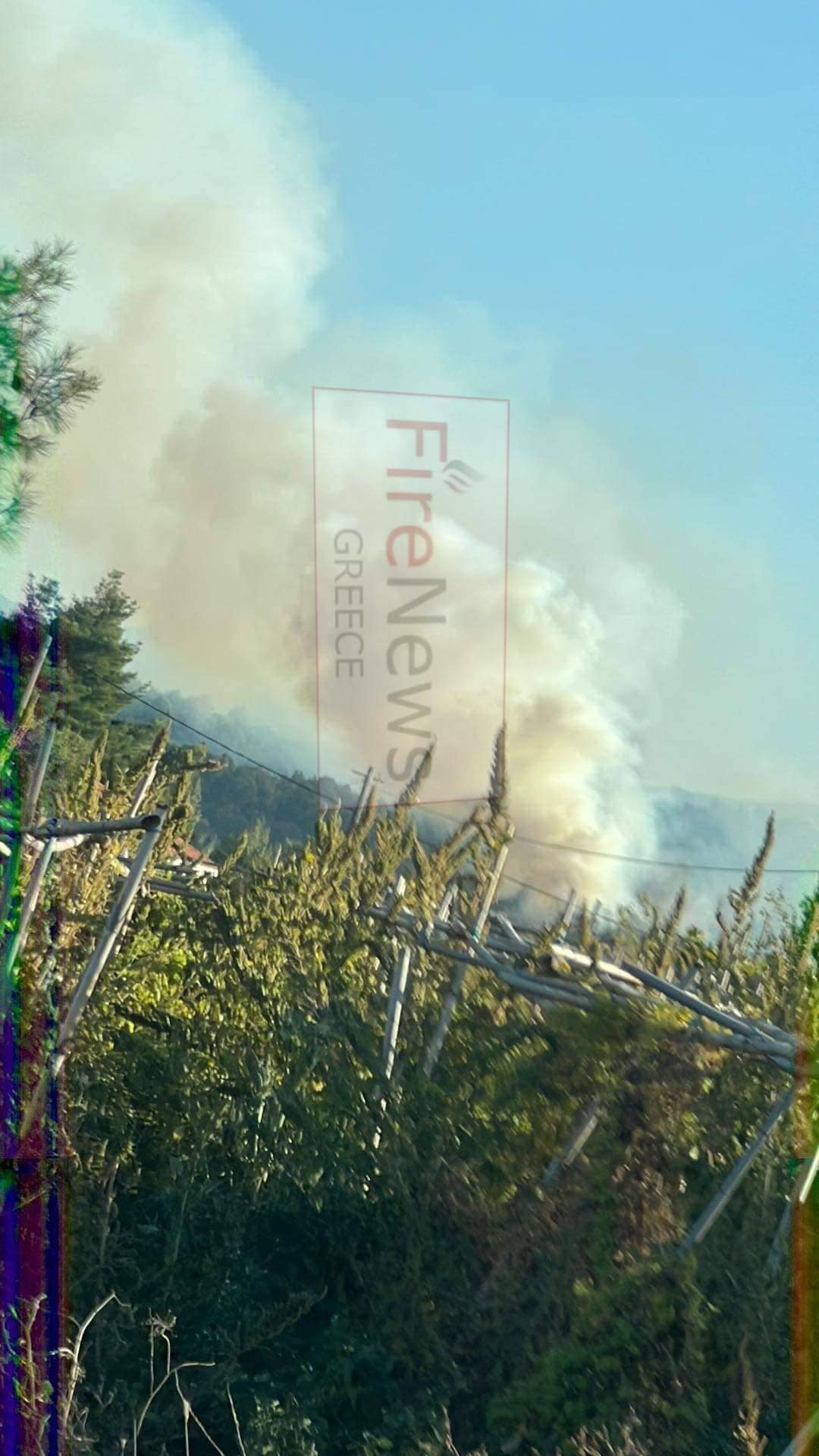 Πυρκαγιά σε δασική έκταση στο Καπανδρίτι Αττικής (Φωτό)
