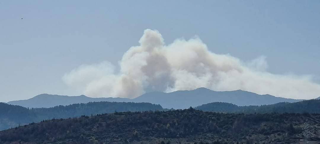 Μαίνεται ανεξέλεγκτη για 12η συνεχόμενη ημέρα η πυρκαγιά στο Παπίκιο όρος (Φωτό)