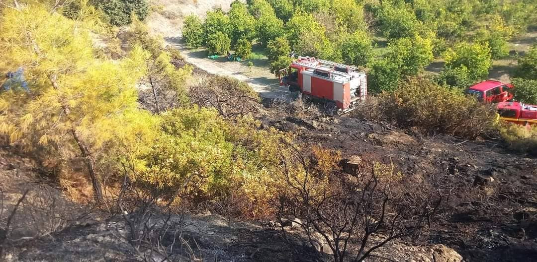 Πυρκαγιά σε δασική έκταση ανάμεσα Έμπωνα με Σάλακο στη Ρόδο (Φωτό)