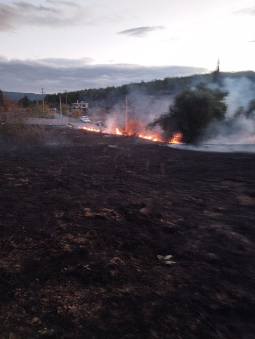 Πυρκαγιά σε χαμηλή βλάστηση στο Μήλεσι Αττικής (Φωτό)