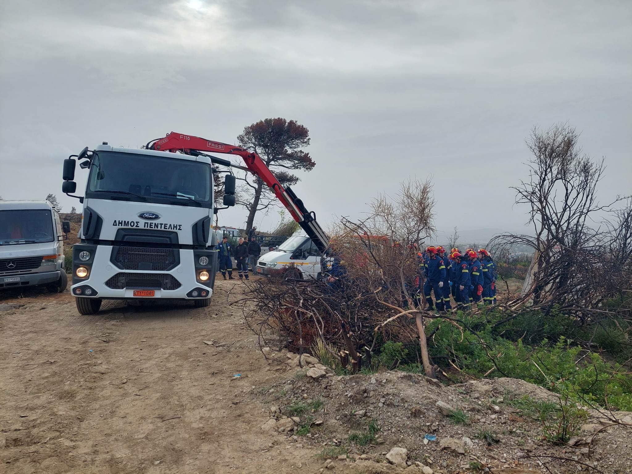 Εθελοντική αναδάσωση στα φετινά καμένα του Πεντελικού