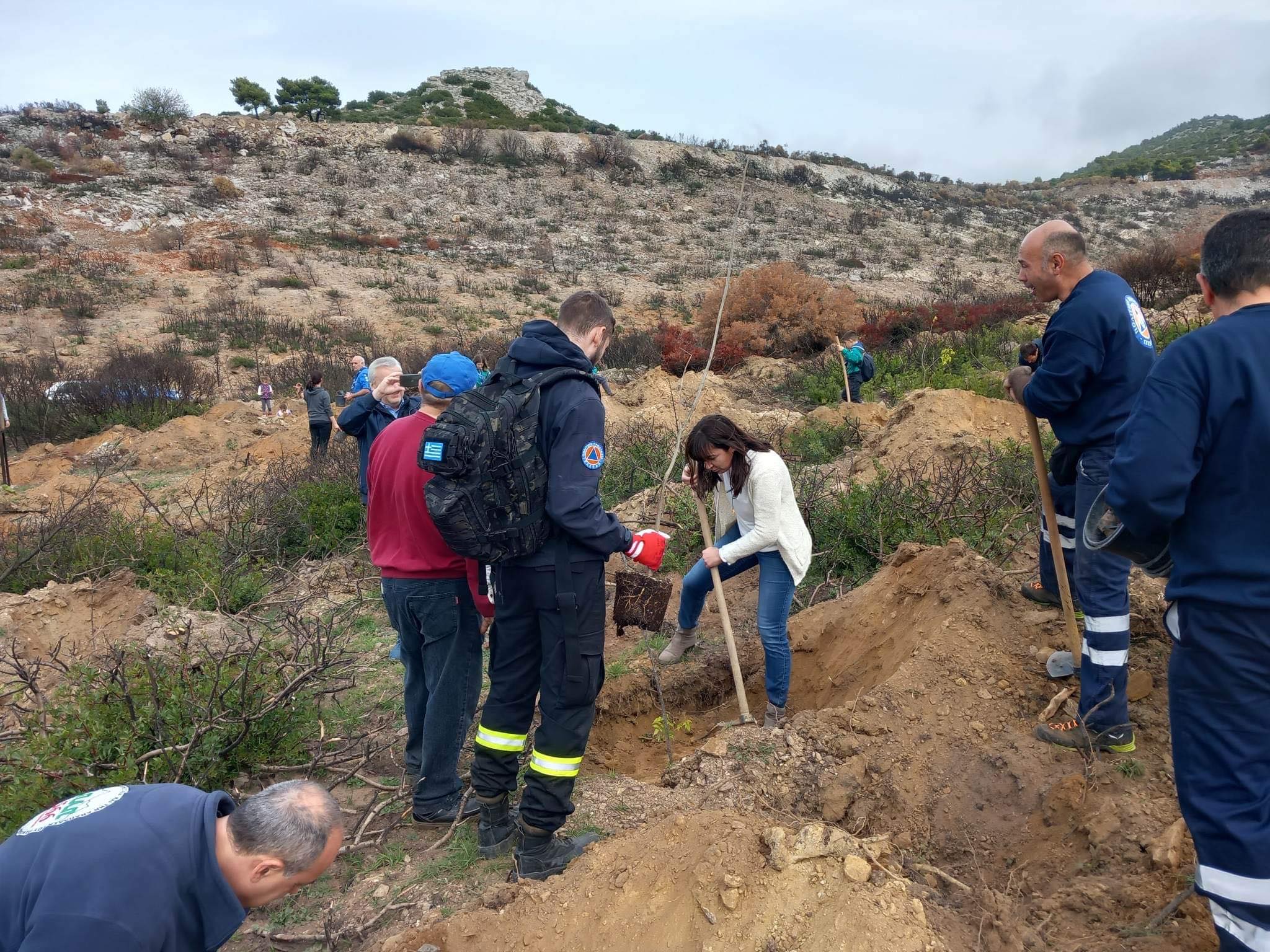 Εθελοντική αναδάσωση στα φετινά καμένα του Πεντελικού