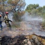 Πυροσβεστική: 16 αγροτοδασικές πυρκαγιές εκδηλώθηκαν το τελευταίο 24ωρο (21/11/2022)
