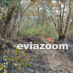 Σύλληψη για πυρκαγιά σε γεωργική έκταση στην Εύβοια