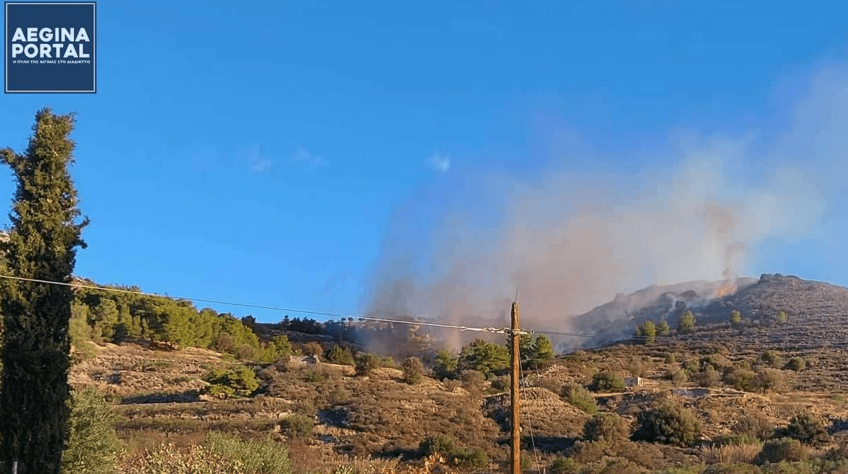 Πυρκαγιά σε δασική έκταση στην περιοχή του Κοντού Αίγινας (Φωτό)
