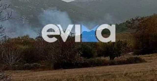 Πυρκαγιά σε αγροτική έκταση στο Αυλωνάρι Ευβοίας (Φωτό)