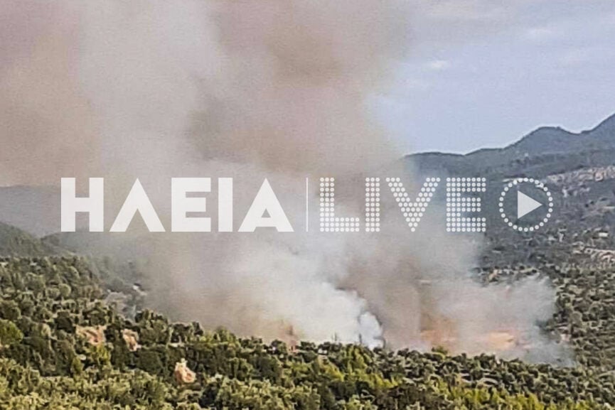 Πυρκαγιά σε αγροτοδασική έκταση στο Ξηροχώρι Ηλείας (Φωτό)